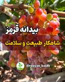 درجه یک و بازار پسند