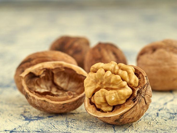 فروش گردو فرنور مناسب مناطق سردسیر