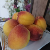 خوش طعم