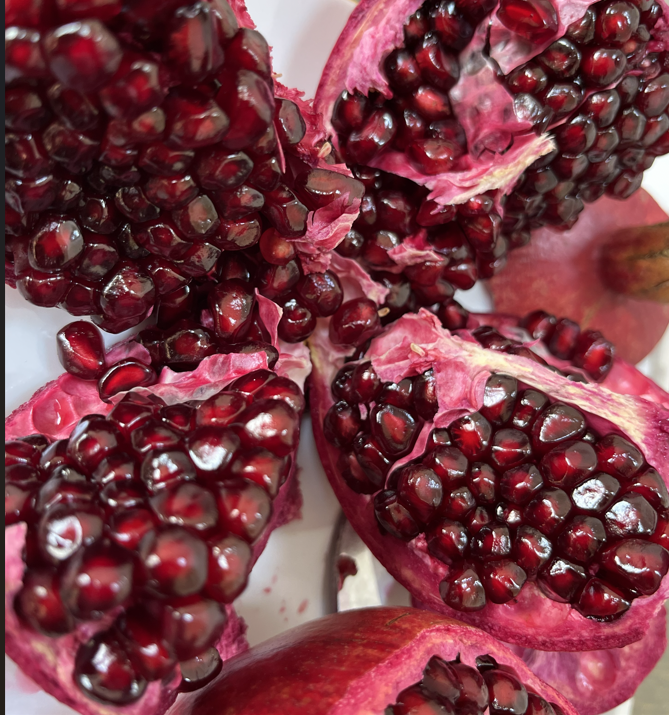 نهال انار دانه سیاه فوق العاده با کیفیت